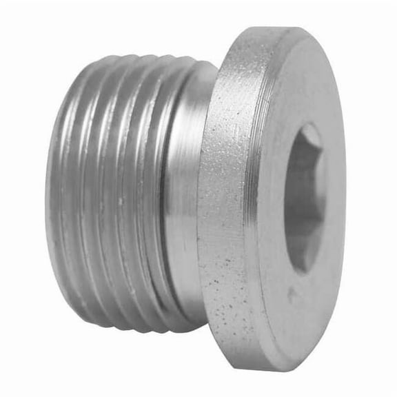 Parker Hollow Hex Plug,M33x x 2,Metric VSTI33X2EDCF