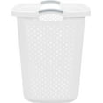Find Your Perfect Home Logic 2.5 Bushel XL Lamper Plastic Laundry