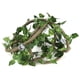 thumbnail image 1 of Rama Flexible para Reptiles ANGGREK 3 Enredaderas con Ventosas, 1 of 8