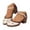 Brown, variant on Mostsola Heels for Women Closed Toe Blocked Heeled Sandals Retro Ankle Strap Pumps Shoes