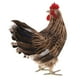 thumbnail image 5 of Decoración de animal Sunnimix modelo de 9 pulgadas liviana, 5 of 8