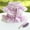 Purple, variant on The war and the Balkans (Paperback)