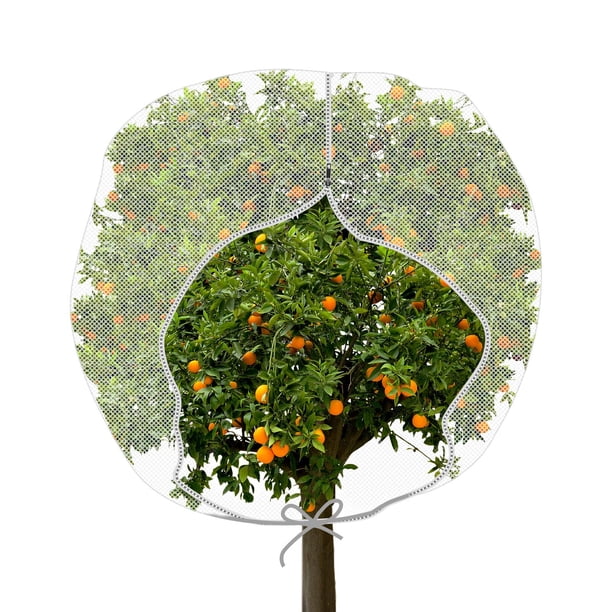 Cubierta grande para plantas de malla para insectos de jardín con cremallera en forma de H, bolsa para jardín, malla para insectos, cubierta para plantas para proteger las frutas de las plantas oso de fresa Hogar