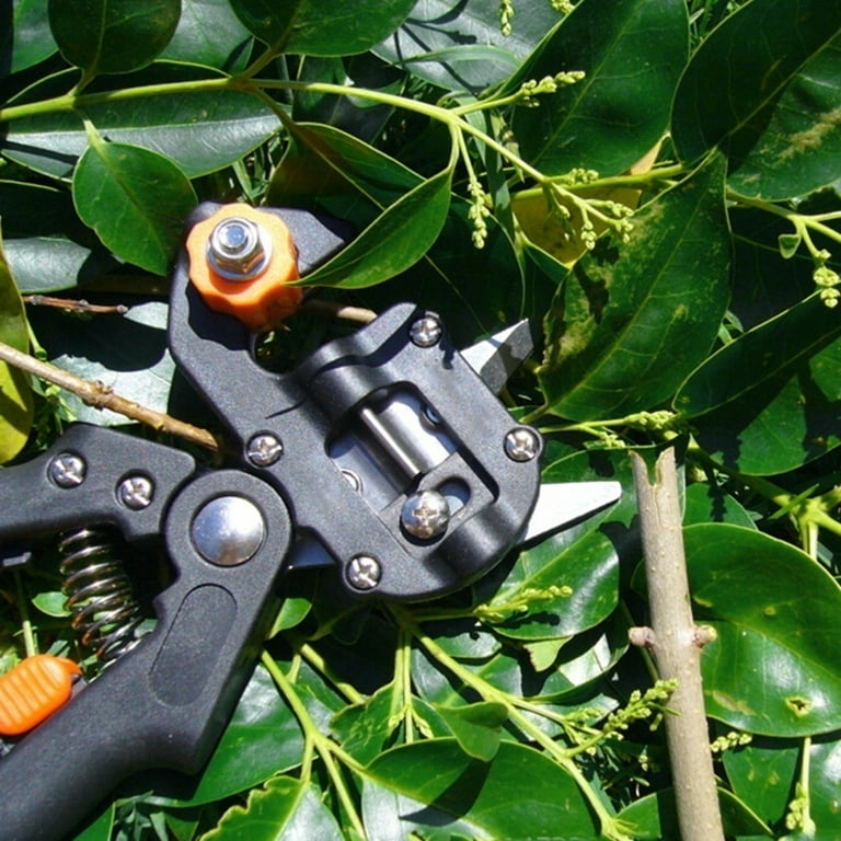 The New Garden Grafting Pruner Chopper Vaccination Cutting Tree Plant  Shears Scissor Fruit Tree Grape Vine Graft Tool