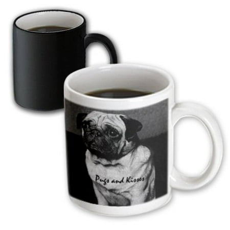 

3dRose Pug Pugs and Kisses Magic Transforming Mug 11oz