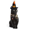 thumbnail image 3 of Traje de sombrero para mascotas Traje de Halloween para mascotas Sombrero de capa para gato921, 3 of 5