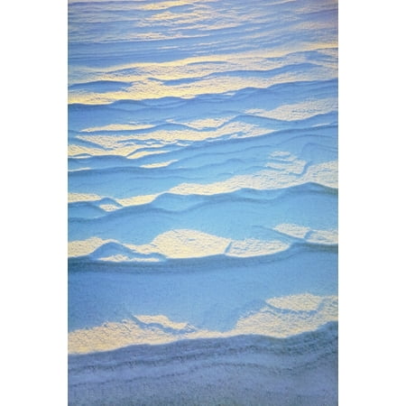 Kohl's Canada Calgary Detail Of Ripple Pattern In The Snow At Sunrise Calgary Alberta Canada Canvas Art - Michael Interisano Design Pics (12 x 19) ()