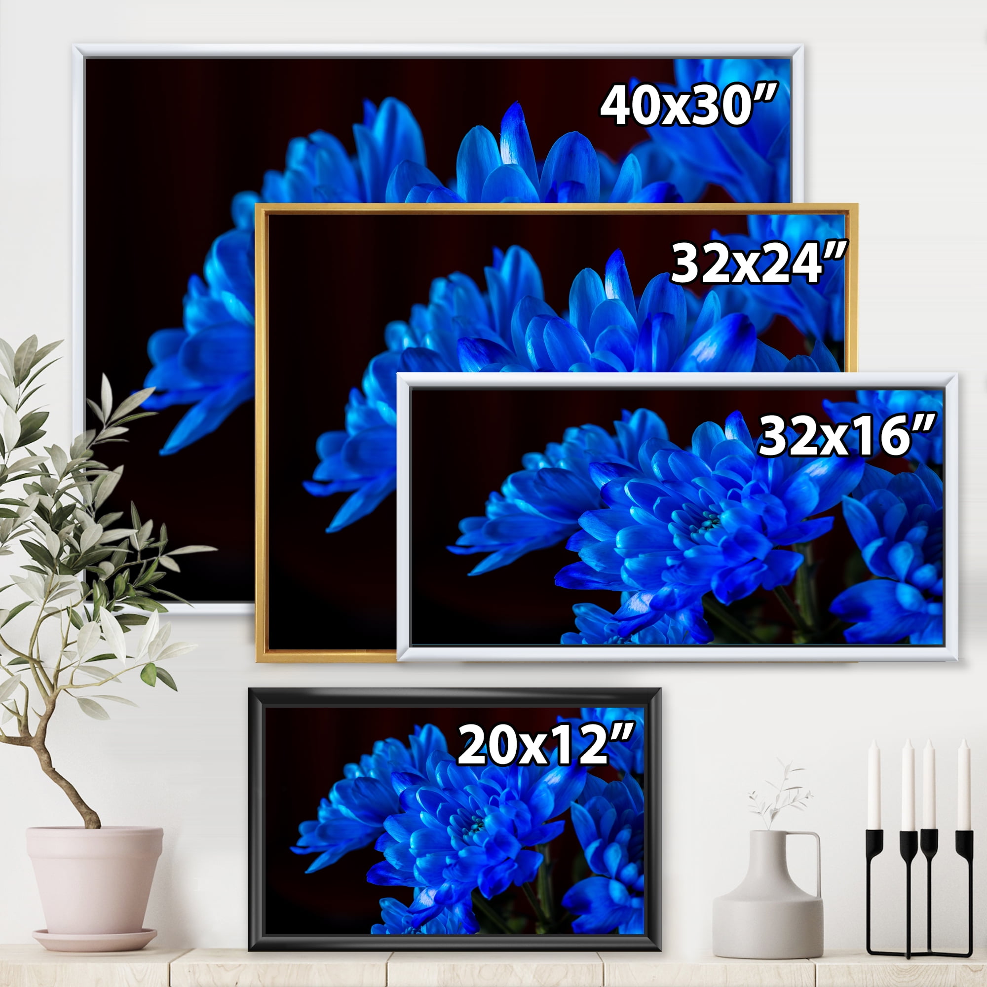 Designart 'Blue Chrysanthemum Flowers On Black Backround' Traditional Framed Canvas Wall Art Print