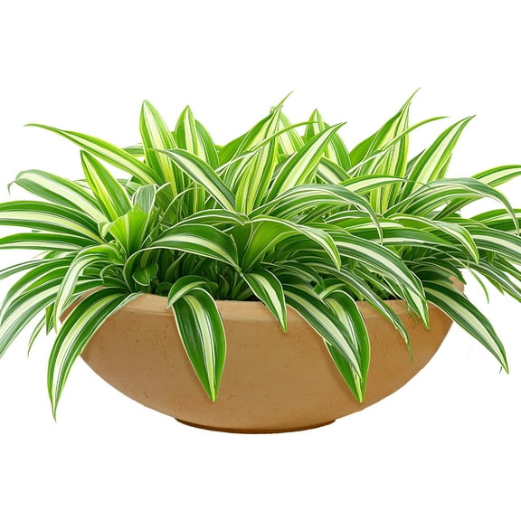 Sunnydaze Percival 20.75" x 20.75" x 11.5" Round Sand Polyresin Outdoor Planter Pot