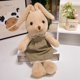 thumbnail image 5 of Adorable conejo de peluche, un compañero suave y mimoso para los niños, perfecto para cumpleaños y fiestas. ¡Un peluche para acurrucarse!, 5 of 8