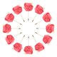 thumbnail image 1 of 12 Pcs Ramilletes de Rosa con Alfileres para Hombres Ceremonia de Boda Aniversario Cena Formal Fiesta Rojo Sandía, 1 of 5