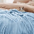thumbnail image 4 of Fleece Twin Blanket For Couch - Super Soft Cozy Blankets For Women, Cute Small Blanket For Girls, 60x80 Inches, 4 of 4