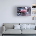 thumbnail image 2 of Canvas Wall Art - Fabien Bravin 'Silence' Wall Art for Living Room, Bedroom, or Office Décor by Trademark Fine Art - 47 x 30 Inches, 2 of 4