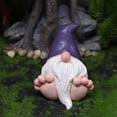 thumbnail image 3 of Estatua de enano de jardín de hadas de resina, figura decorativa de gnomo de paisaje micro (púrpura) Ndcxsfigh Libre de BPA, 3 of 7