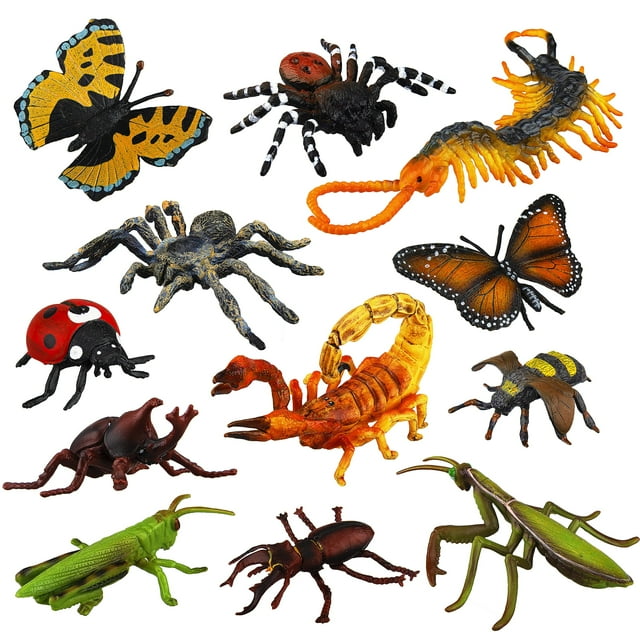 Figura de juguete Toymany Realistic Bugs, 12 unidades, para niños mayores de 3 años
