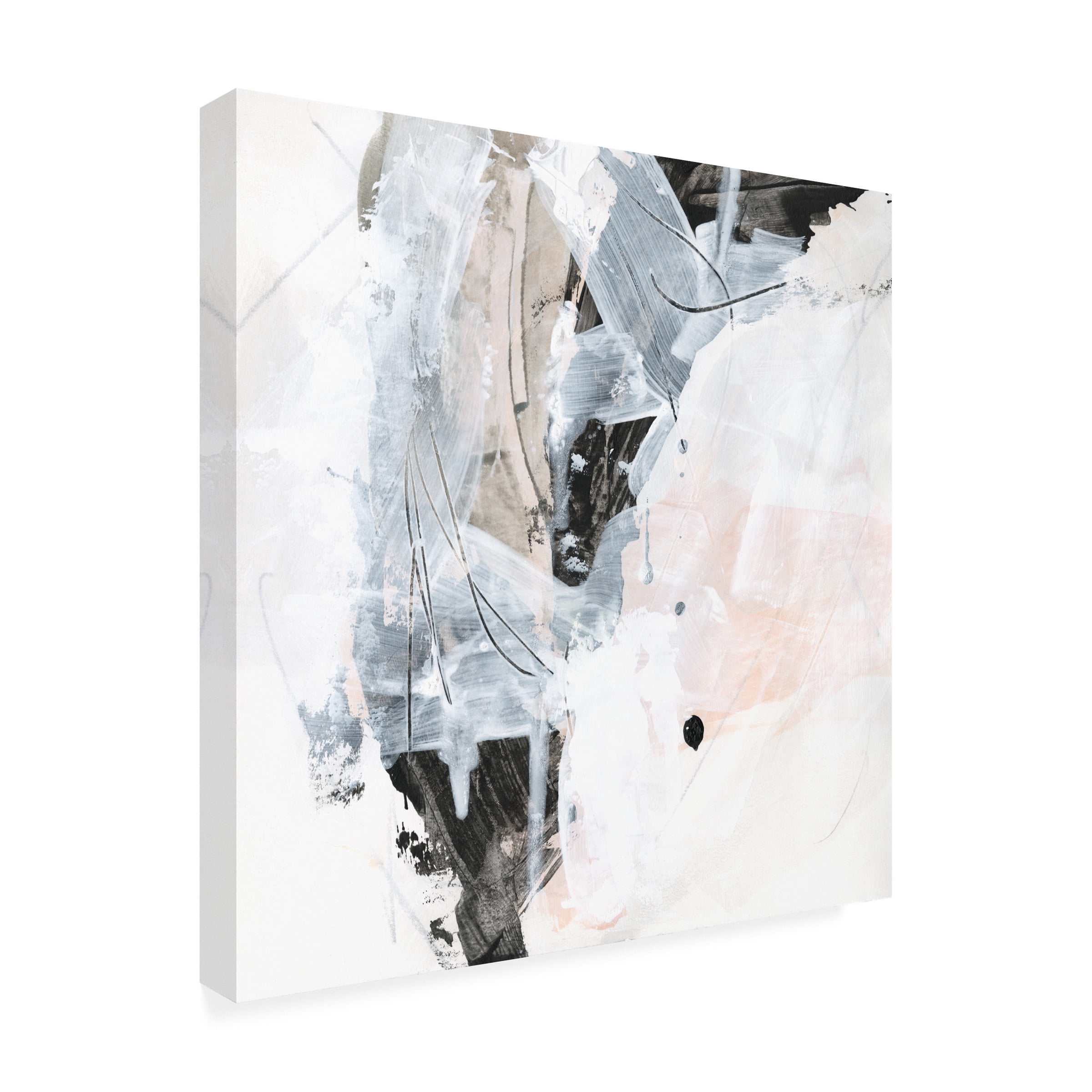 June Erica Vess 'Veiled Formation IV' Canvas Art