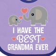 thumbnail image 4 of Inktastic Grandchild Best Grandma Ever Boys or Girls Baby Bib, 4 of 4