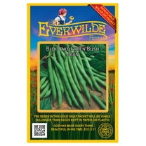 Everwilde Farms - 100 Blue Lake 274 Green Bush Bean Seeds - Gold Vault Jumbo Bulk Seed Packet