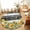 Black, variant on Large Round Rug 8Ft, Sunflower Non-Slip Washable Circle Rugs Carpet, Summer Eucalyptus Botanical Floral Farmhouse Indoor Outdoor Rug Floor Mats Throw Runner for Bedroom Living Room Bathroom
