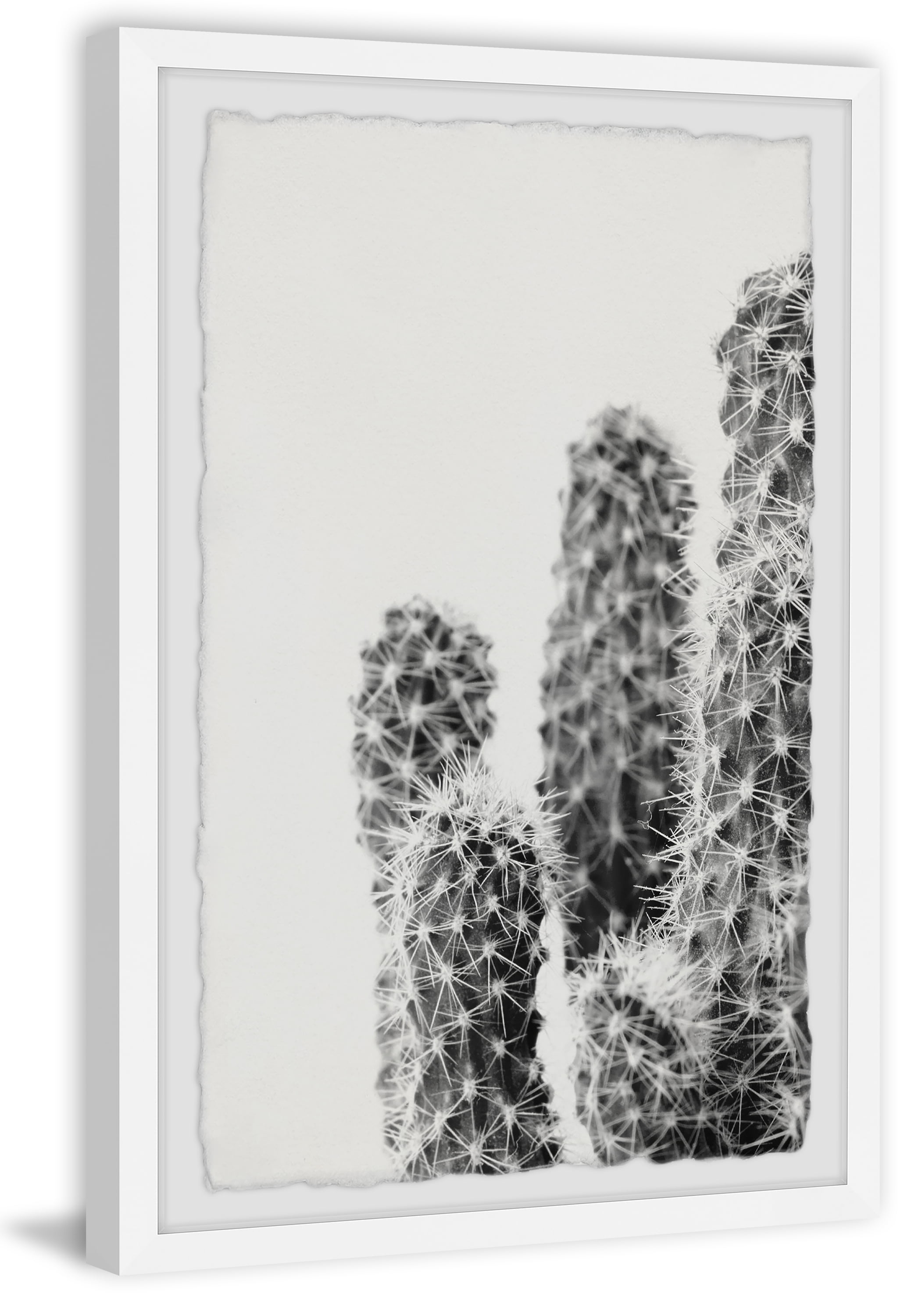 Marmont Hill White Thorns Framed Wall Art, 12" x 8"