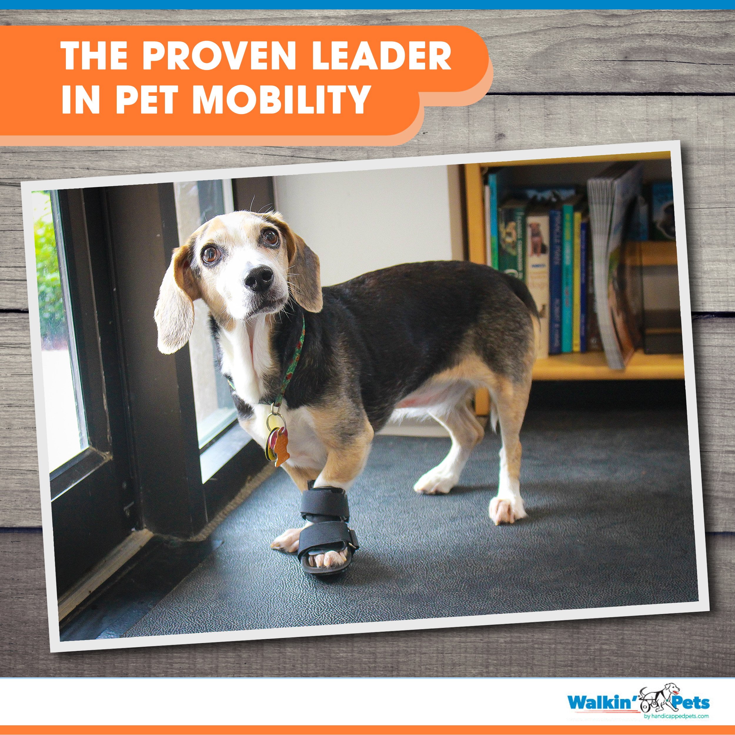 bootie splint for dogs