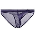 thumbnail image 1 of ylioge Mesh Underwear for Men Lightweight Low Rise High-Cut Breathable See-Through Solid Color Comfort Hipsters Briefs, 1 of 2