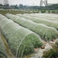 thumbnail image 3 of Fine Mesh Insect Net For Garden, Greenhouse, Plants, Fruits, Flowers, Crops - Protection Against Insects, 3 of 3