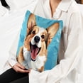thumbnail image 6 of Corgi Chair Pillow Covers Set with Velvet Material, Unique Patterns, 16x16, 18x18, 20x20 Inches, 2 Items Included for Throw Pillows, Pillow Inserts,for Various Occasions, 6 of 6