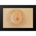 thumbnail image 2 of Millet, Karyn 18x13 Black Modern Framed Museum Art Print Titled - Ocean Treasures XI, 2 of 5
