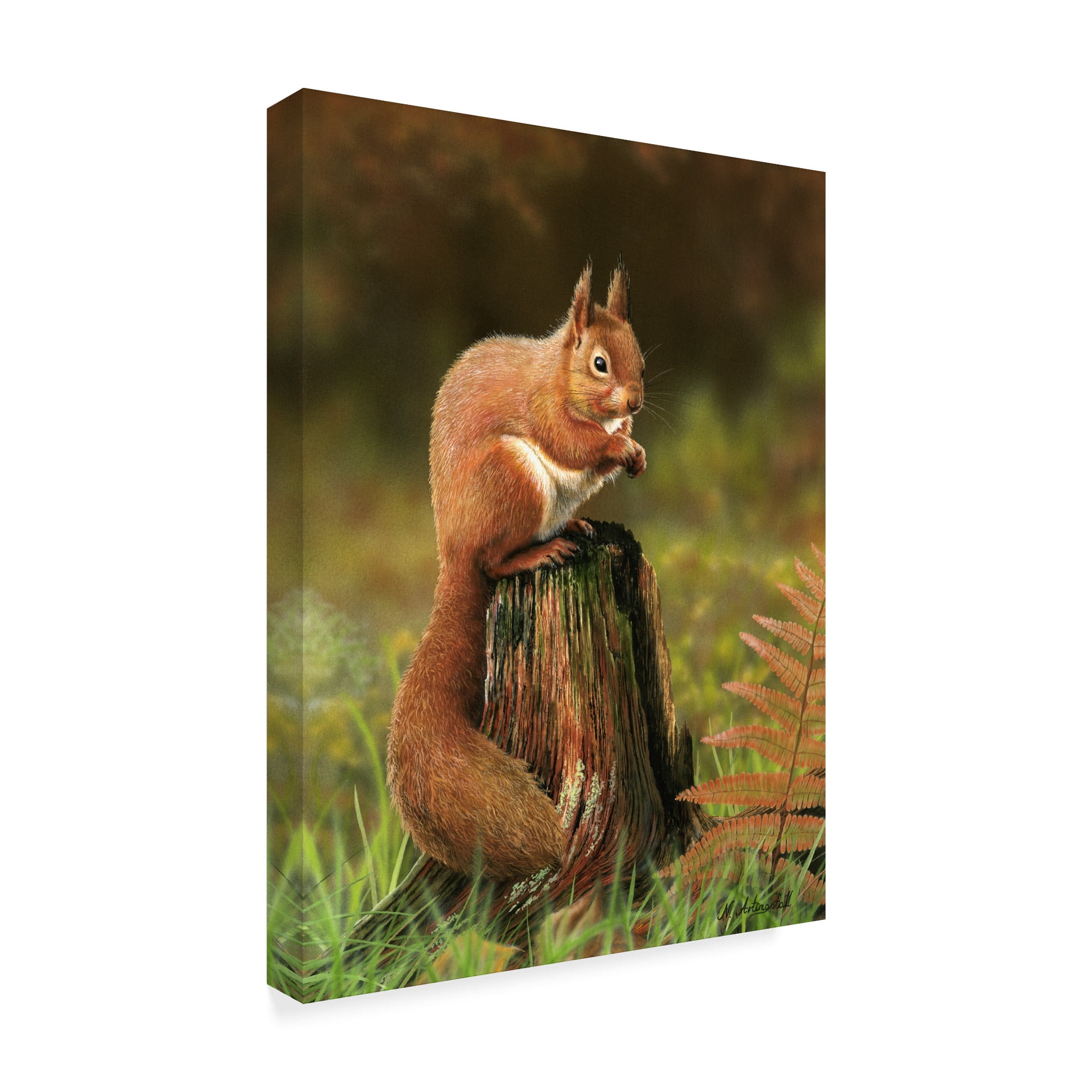 Trademark Fine Art Animals Canvas Art ' Red Squirrel On Stump ' by Nigel Artingstall
