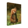 thumbnail image 2 of Trademark Fine Art 'Red Squirrel On Stump' Canvas Art by Nigel Artingstall, 2 of 3