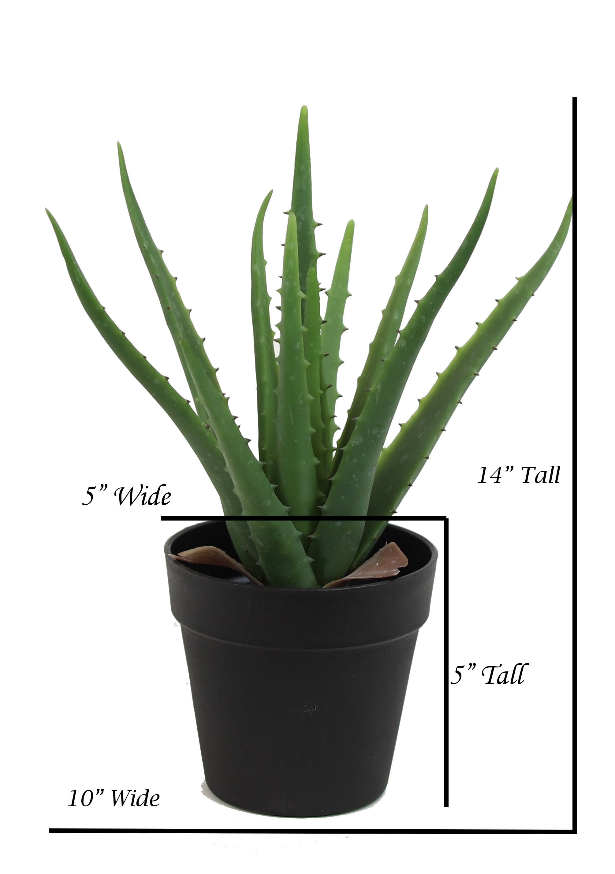 The Mod Greenhouse 14" Artificial Green Aloe Vera Plant in a Matte Black Grower's Pot