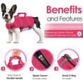 thumbnail image 4 of Chaleco salvavidas AOFITEE de alta flotabilidad para perros nadadores XS, 4 of 6