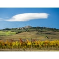 thumbnail image 2 of Eggers, Julie 32x25 Black Ornate Wood Framed with Double Matting Museum Art Print Titled - Italy-Tuscany Colorful vineyards in autumn with blue skies and clouds, 2 of 4