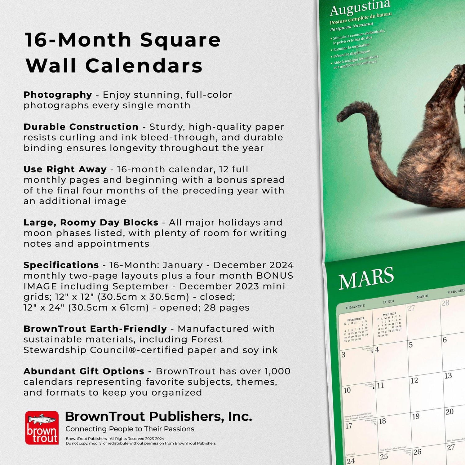 BrownTrout Yoga Cats OFFICIAL 2024 12x24 Inch Square Wall Calendar, 9781975470487