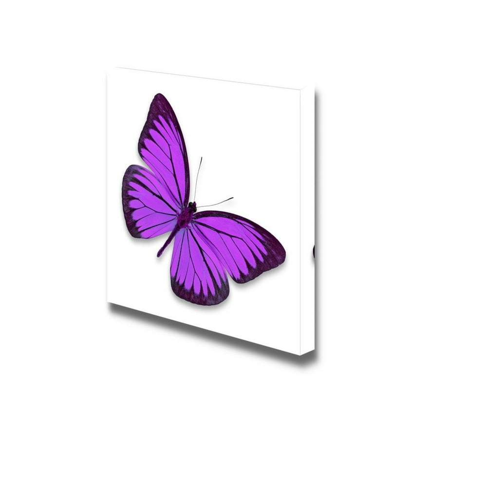 Canvas Prints Wall Art - Beautiful Flying Purple Butterfly on White