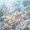 Blue 05, variant on spefrowx 3D Underwater White Jellyfish Bedding for Teens, Pale Aqua Sculpted Spotted Starfish Coral Duvet Cover Full, Stars Reversible, 3-Piece, 1 Duvet Cover and 2 Pillowcases