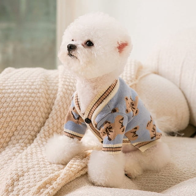 Ropa de pareja de otoño e invierno, suéter de oso para perro, suéter de dos patas para gato, ropa cálida para perros medianos y pequeños