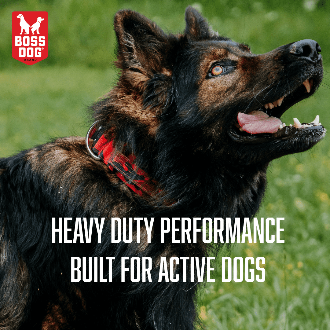 Boss Nation 850030579232 17-22 in. Dog Tactical Adjustable Dog Collar, Red Camo - Large
