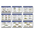 thumbnail image 2 of Fish Ident-I-Cards Set, 2 of 2