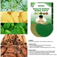 thumbnail image 4 of Parches para el hombro 12PCS Ajenjo Articulación del cuello Artritis reumatoide Alivio del dolor Mas Meterk Verde, 4 of 6
