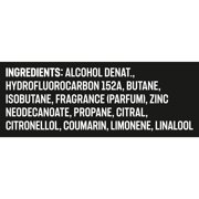 Axe Deodorant Body Spray 48H Odor Protection for Men Apollo Sage & Cedarwood Aluminum Free Body Spray Deodorant, 5.1 oz Twin Pack
