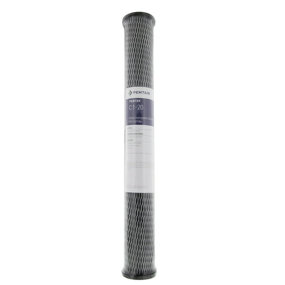 Pentek C1-20 Carbon-Impregnated Cellulose Filter Cartridge, 20 inch x 2-1/2 inch, 5 Micron