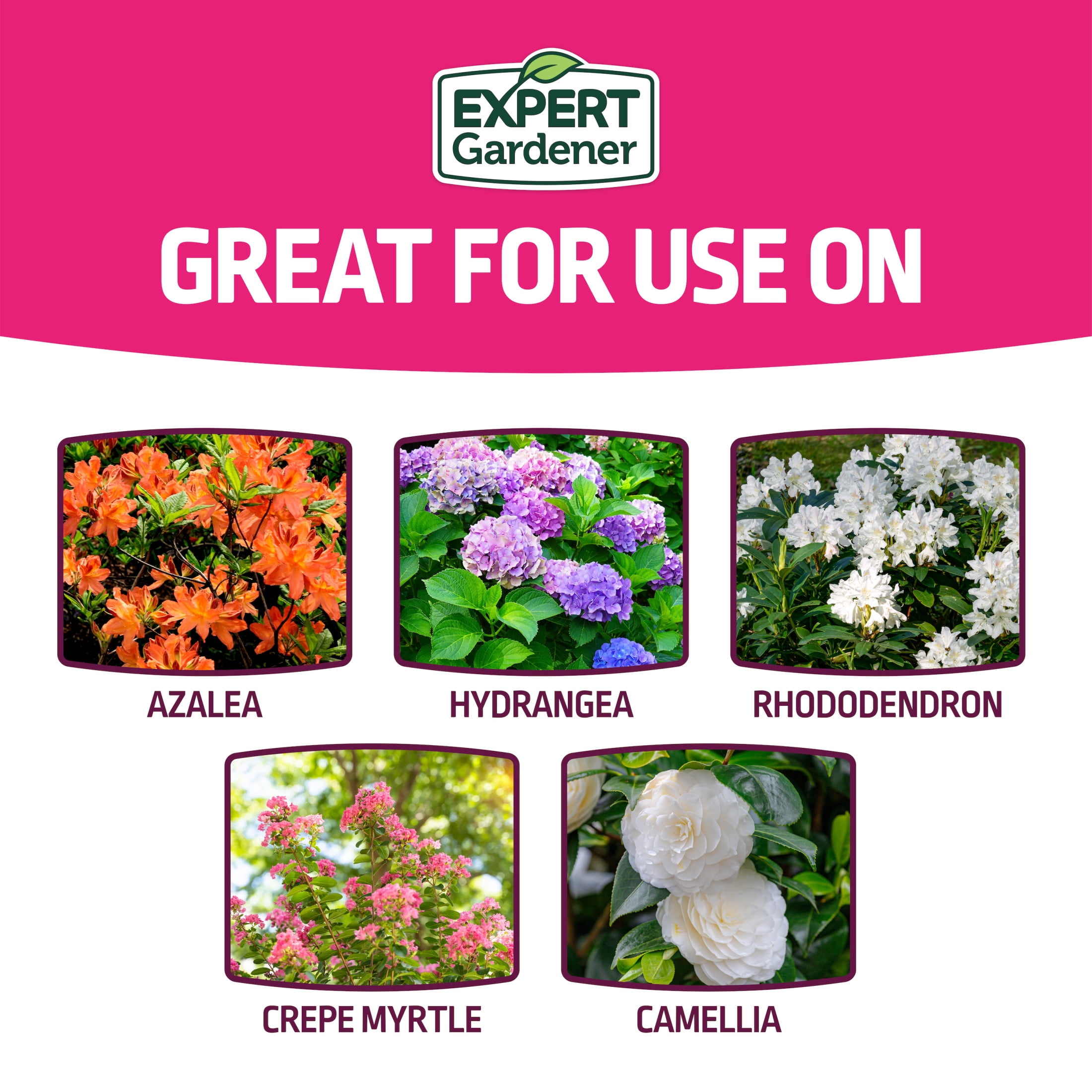 Expert Gardener Azalea, Camellia & Rhododendron Plant Food Fertilizer 10-8-8, 4 lb.