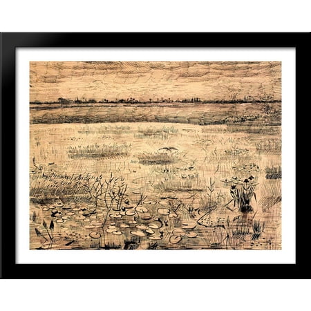 Marsh with Water Lillies 36x28 Large Black Wood Framed Print Art by Vincent van Gogh