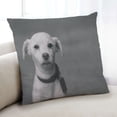thumbnail image 1 of Ahgly Company Coussin d'Intérieur pour Chiens, 18 Pouces par 18 Pouces, 1 of 6