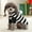 Black, variant on Spencer Dog and Cat Clothes Small Dog Sweaters with Hat Striped Doggie Sweater Knitwear Pullover Warm Pet Puppy Apparel for Fall Winter (Red, S)
