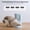 Blue, variant on Automatic Cat Feeder and Water Dispenser FW1, Wire or Battery Cat Food Dispenser Timer Pet Feeder - Locking Lid, Desiccant Bag, Programmable Portion Control, 4 Daily Meals, 10s Voice Recorder-Blue