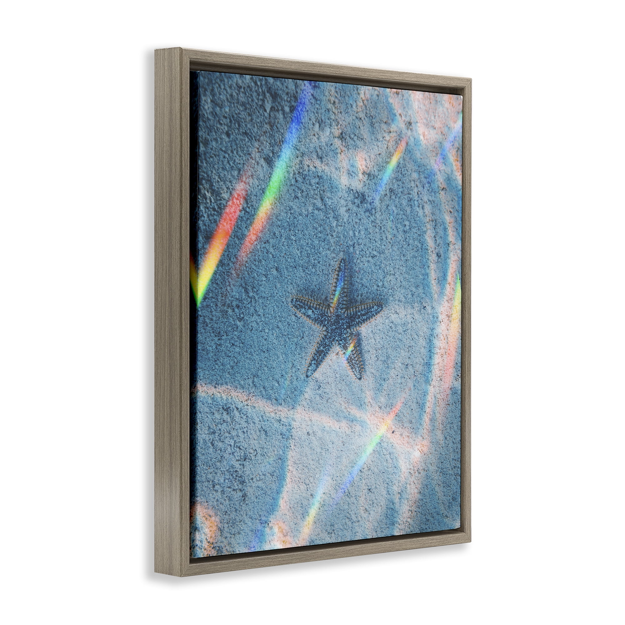 Stupell Industries Prismatic Starfish on Sea Floor Animals Photography Brown Floater Framed Canvas Art Print Wall Art, 17 x 21