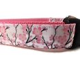 thumbnail image 1 of Collar De Perro De Primavera Caninedesign San Valentín Día De San Patricio Pascua 1 Pulgada De Ancho Ajustable Nailon Mediano Y Grande (Flor De Cerezo Grande 15-22 Pulgadas), 1 of 1